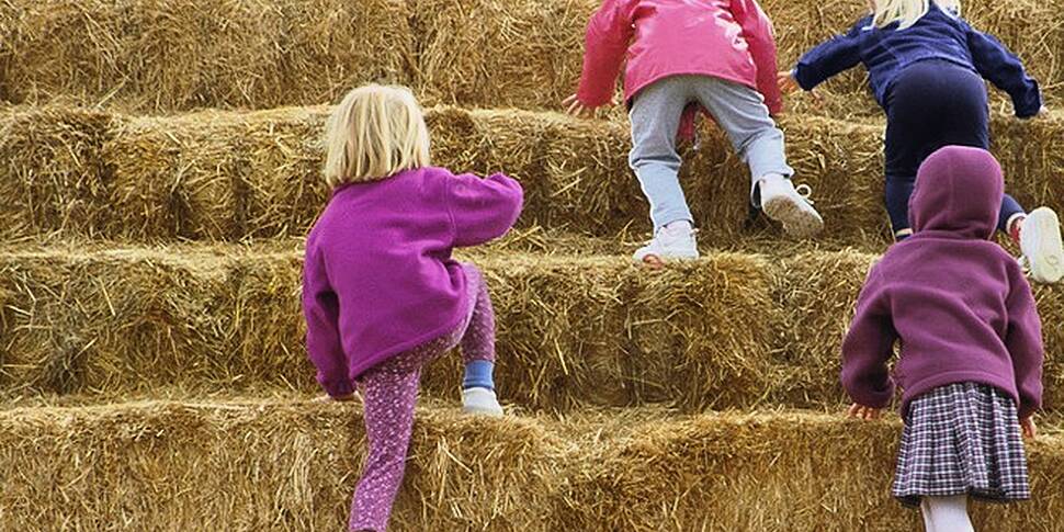 Farming: Making hay in this su...