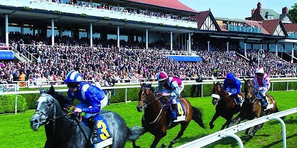 Final Furlong; Ladies Day, Off...