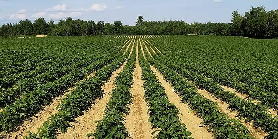 Farming: How will Brexit affec...