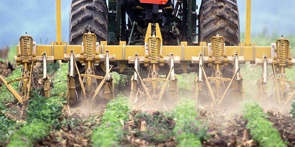 Farming: Live from a men shed...