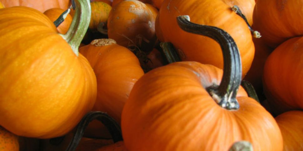 Gardening With Paraic: Pumpkin...