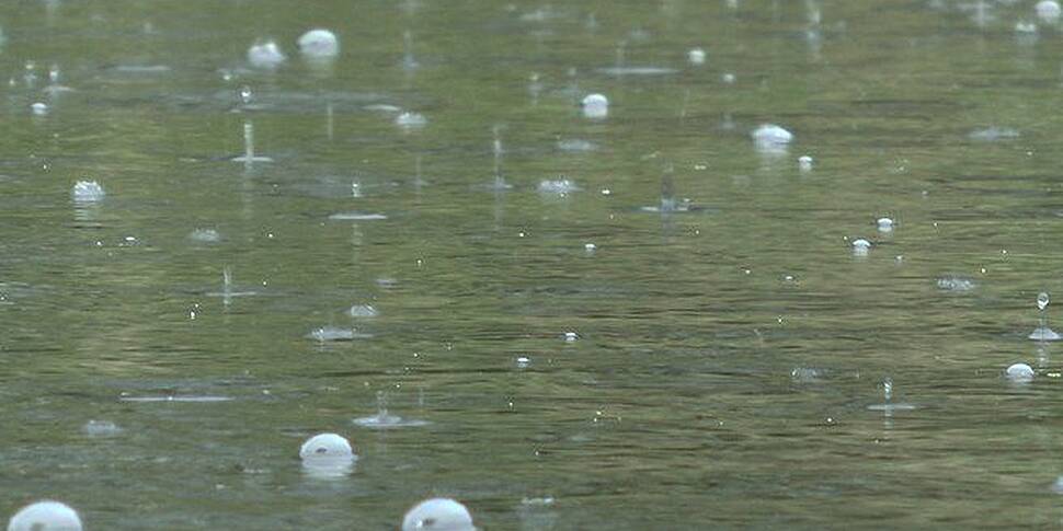 Farming: The rain has arrived