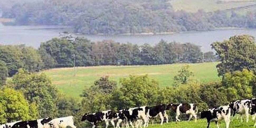 Farming:Veggie steaks hits Tes...