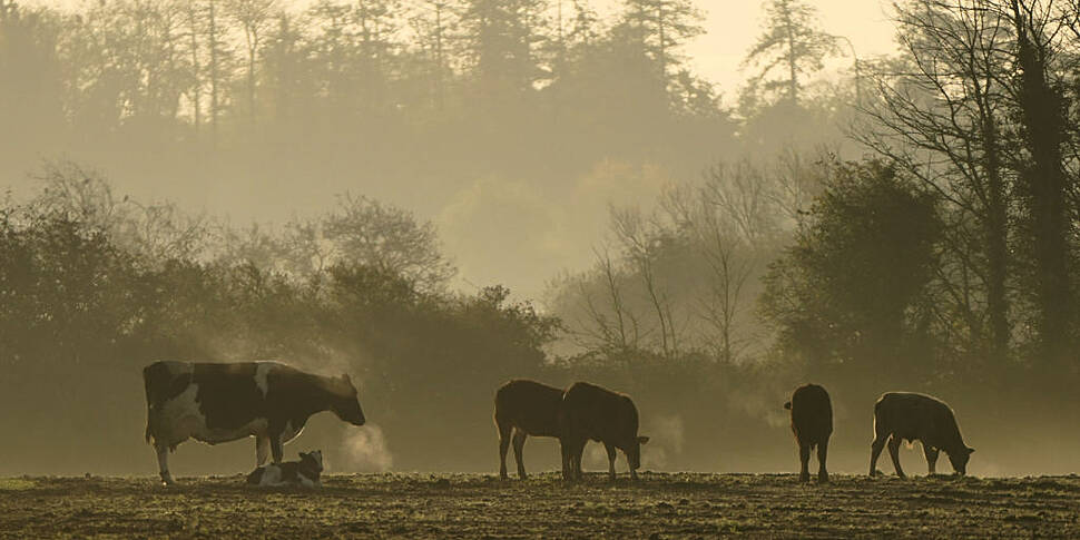 Homeopathic farming – ‘If it w...