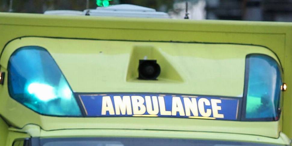 Man dies in Limerick farm acci...