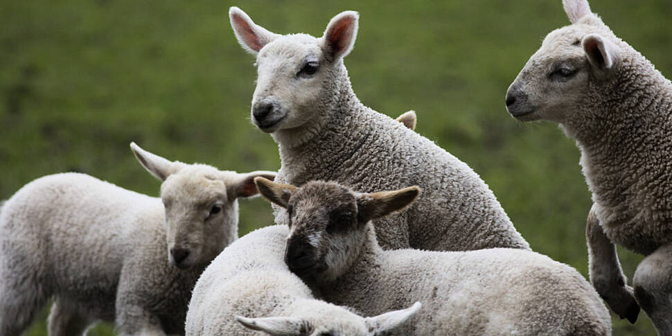 IFA: Relaxing State aid rules...