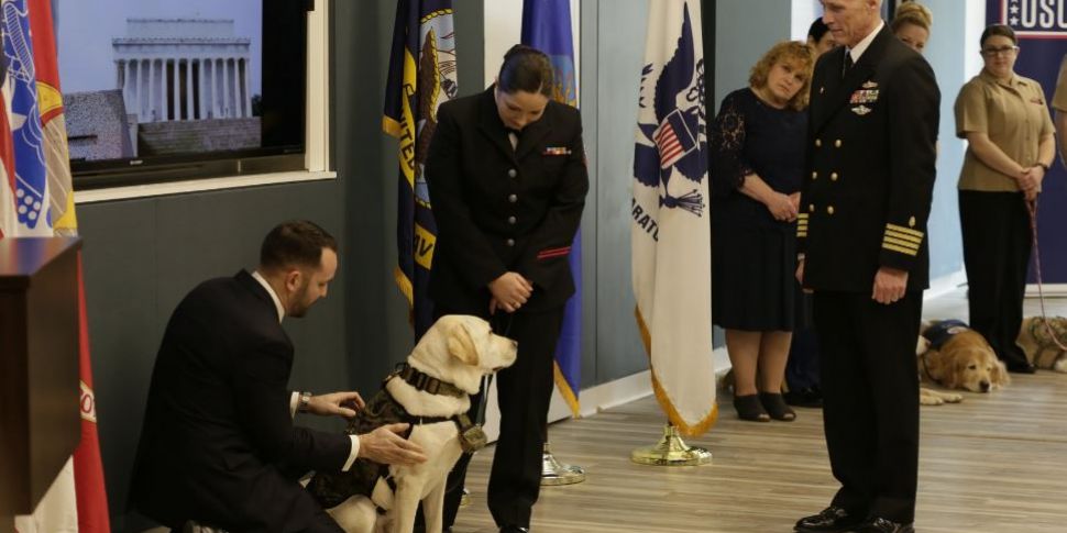 Ex-service dog of George HW Bu...