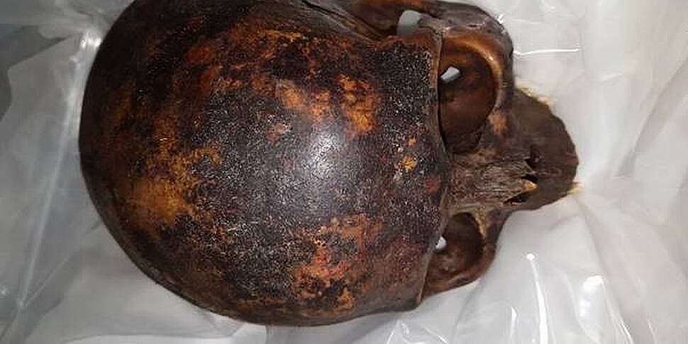 Gardaí recover mummy's head st...