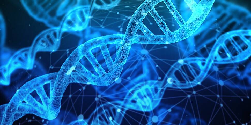 Futureproof Extra: Molecular C...