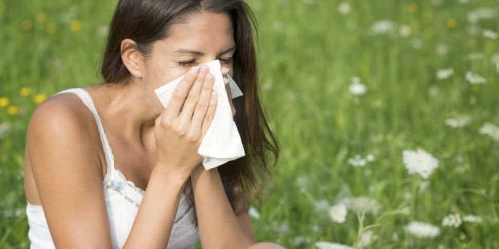 How to cope during hay fever s...