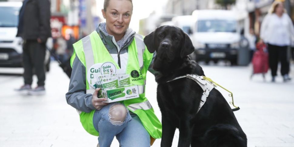 Irish Guide Dogs for the Blind...