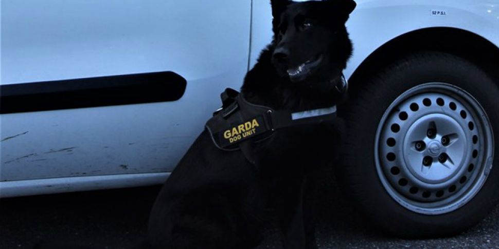 Garda Dog Lazar helps catch ma...