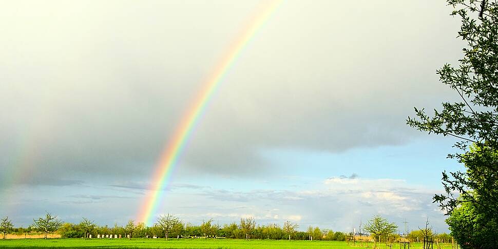 Friday's weather: Heavy rain clearing to sunny spells; Top temperatures ...