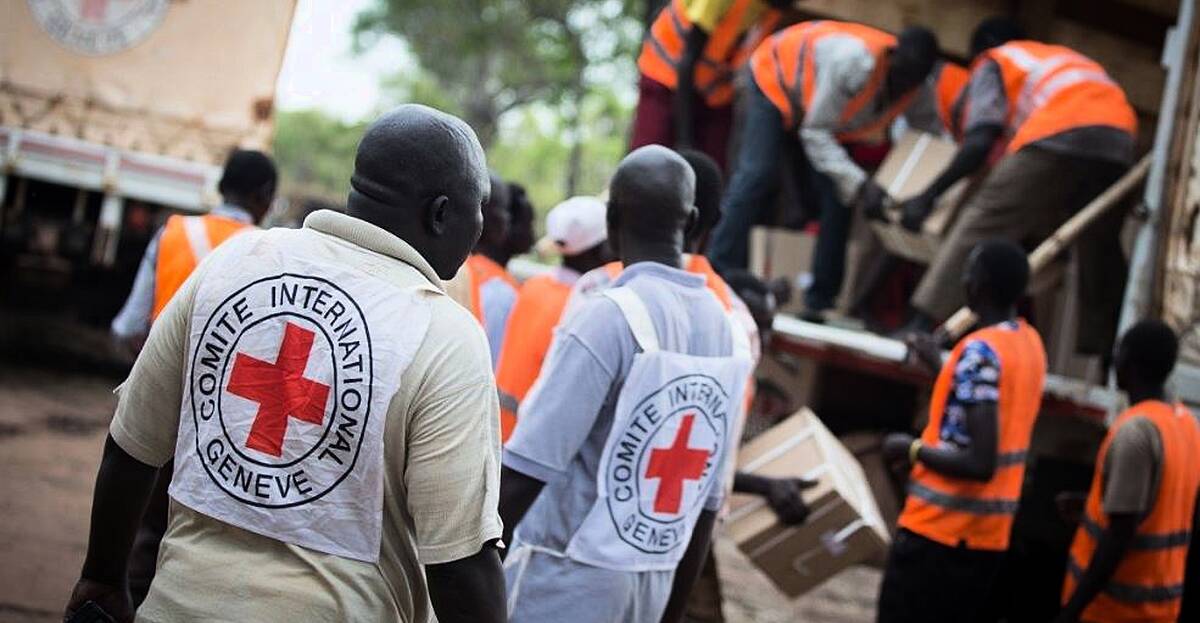 Ireland to co-chair International Committee of the Red Cross group ...