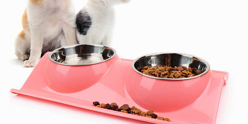 Pete the Vet - Pet Food