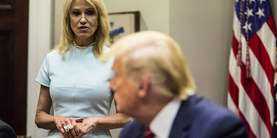 trump officials campaigned while office watchdog trump officials campaigned while office watchdog