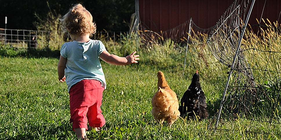 Farming: How to stay safe on t...