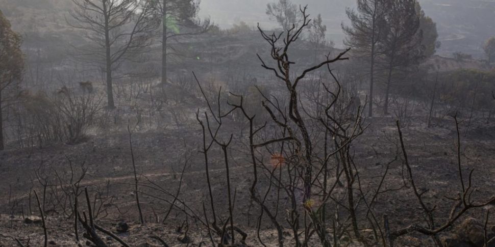 Wildfires rage across Spain as...
