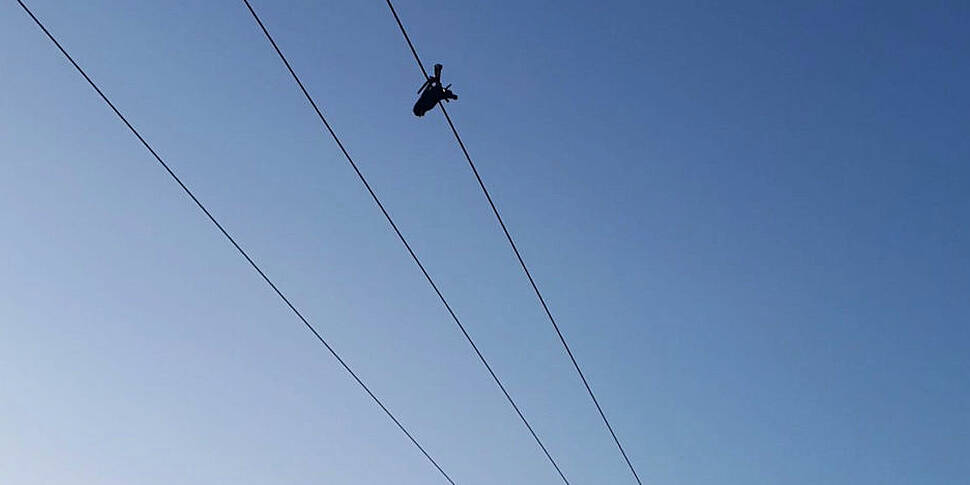 Man electrocuted after trying...