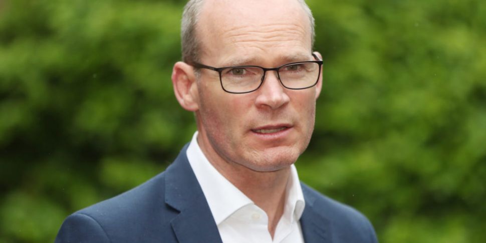 Coveney meets Russian Foreign...