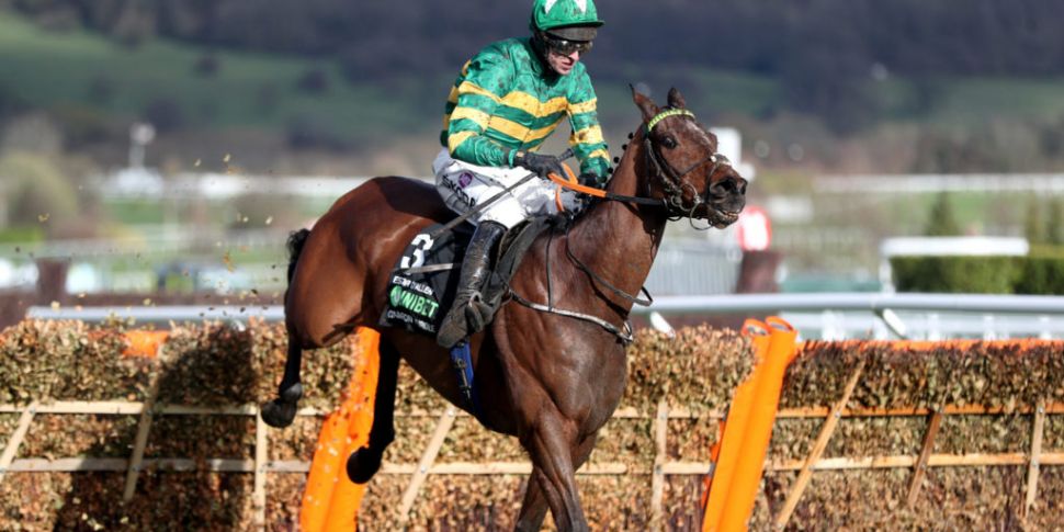 Champion Hurdle hero Espoir D'...