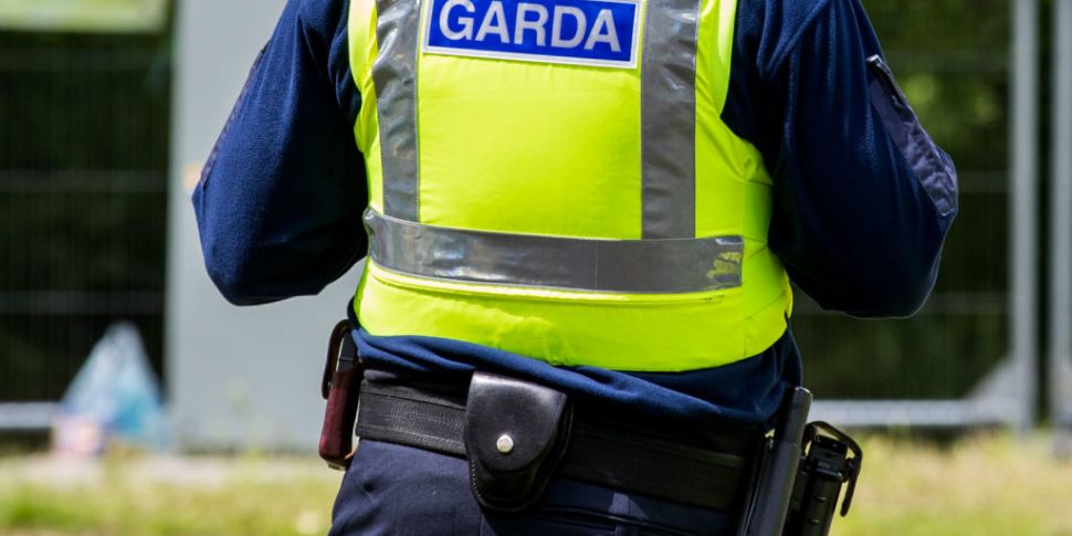 Gardaí seize fake gun and coca...