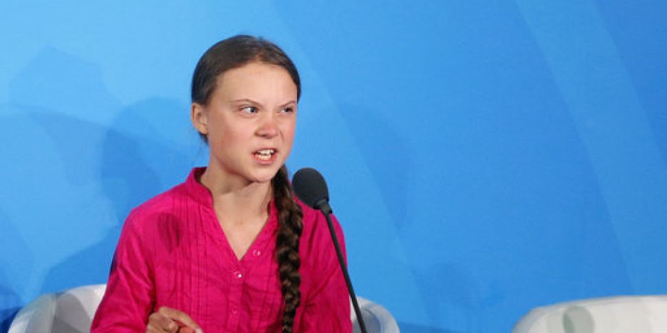 Why is Greta Thunberg so divis...