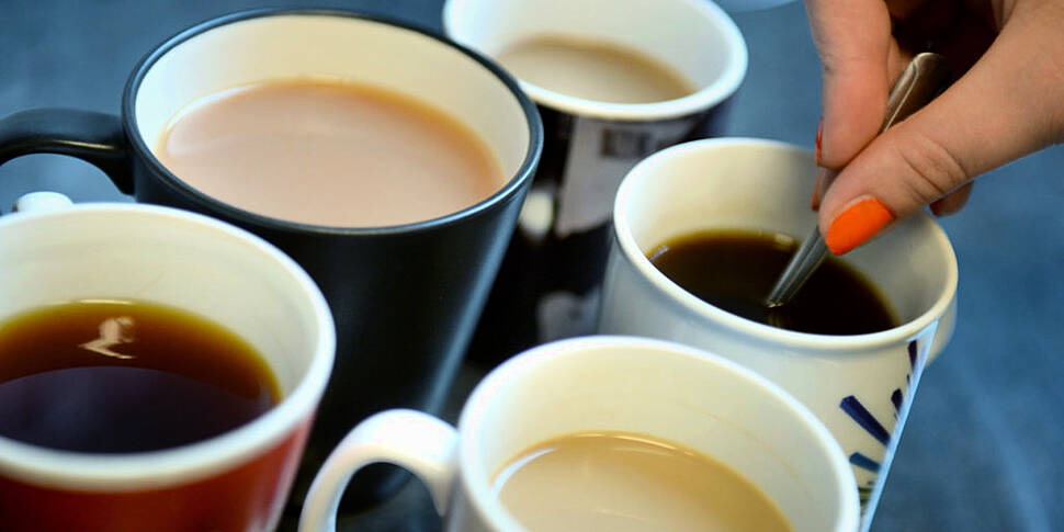 Some teabags release billions...