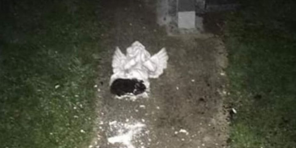 Baby's grave vandalised in Co...
