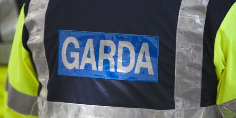 Garda member suspended from du...