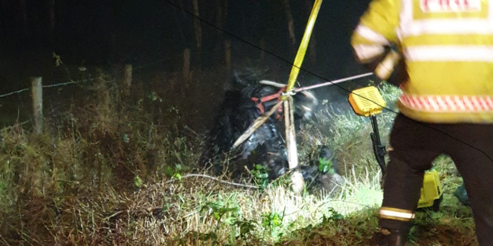 Horse rescued from bog drain i...