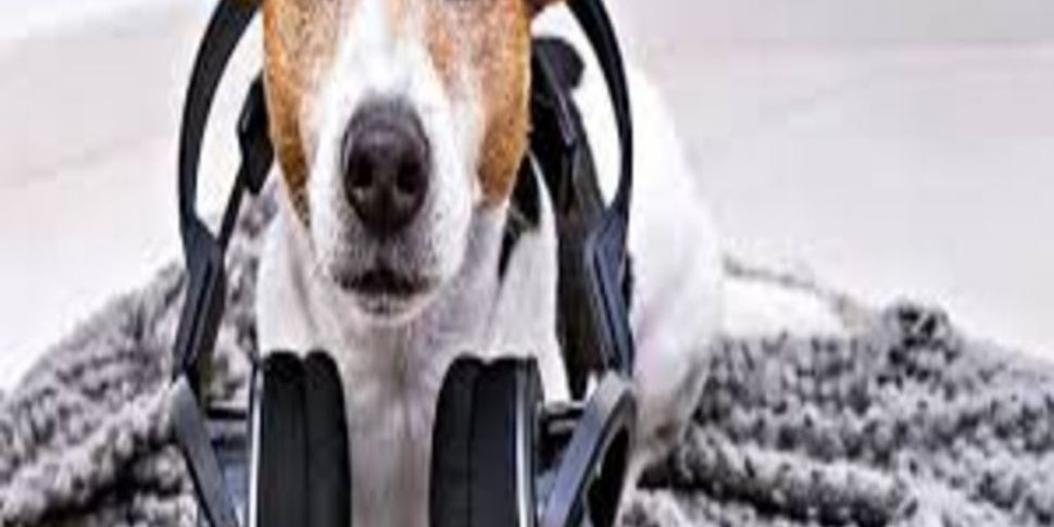 A podcast for when your dog is...