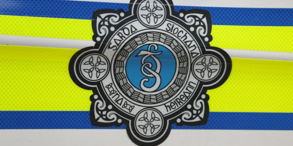 Gardaí appeal for witnesses to...