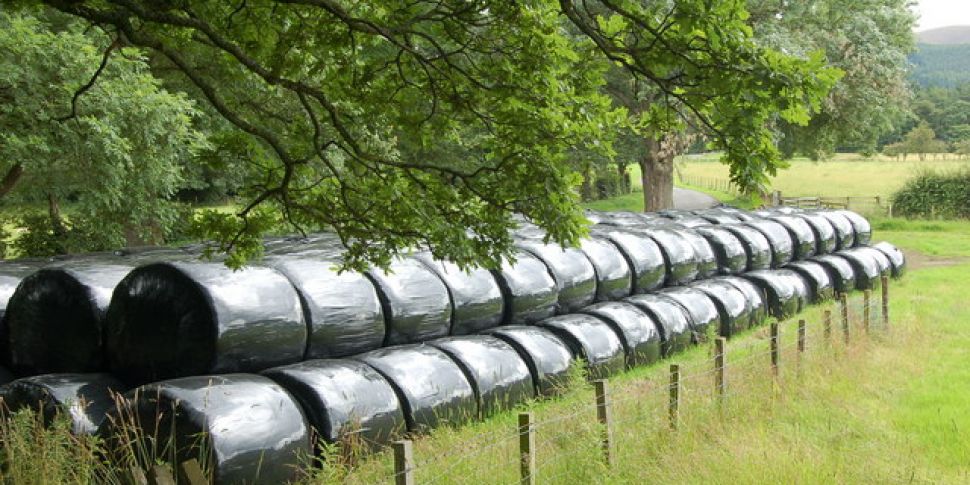 Slow Year for Silage Sales