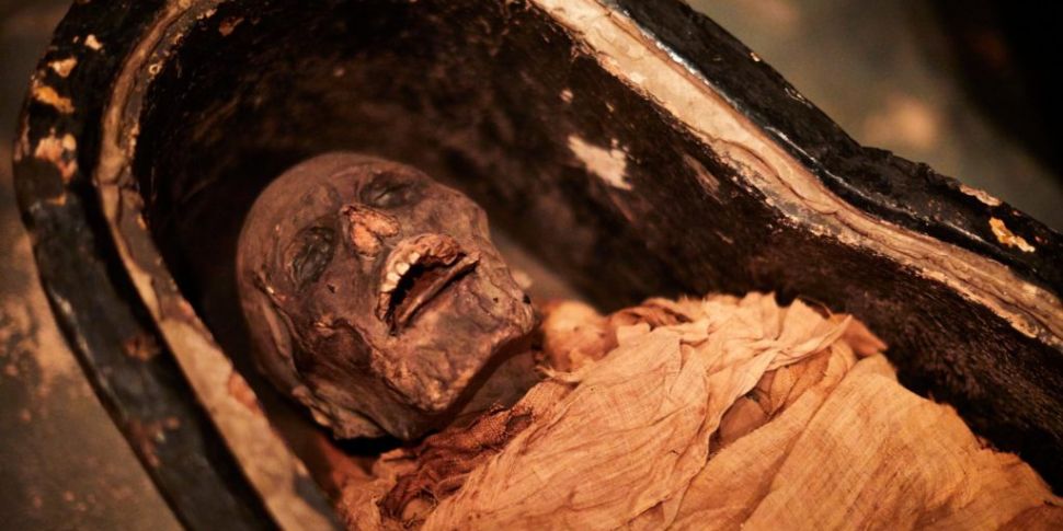 Ancient Egyptian mummy speaks...