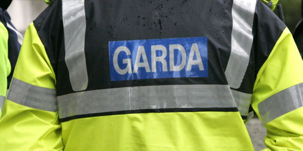 Gardaí called to disperse crow...