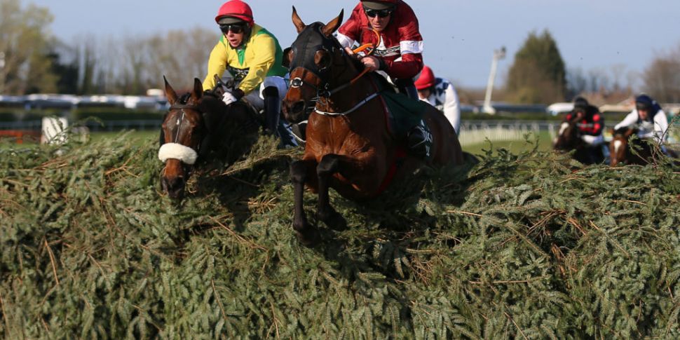 Grand National hero Tiger Roll...
