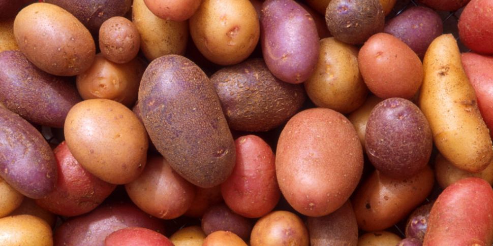 A History Of The Potato