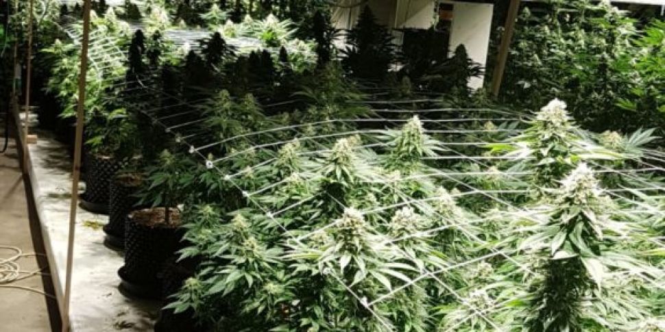 Large scale grow house discove...