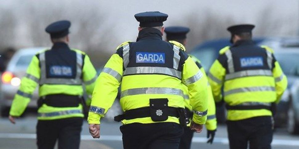 Gardai powers and rights durin...