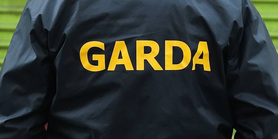 Gardaí seize gun and ammunitio...