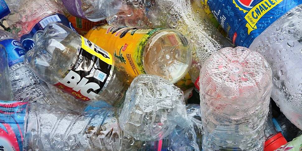 Plastic eating bacteria