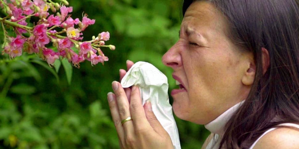 Advice For Hay Fever Sufferers