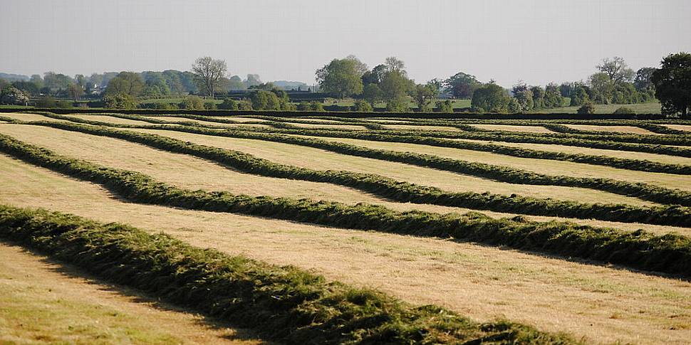 Farming: Cutting Silage