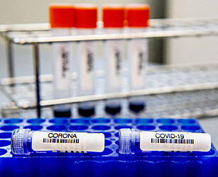 Data watchdog examining compla...