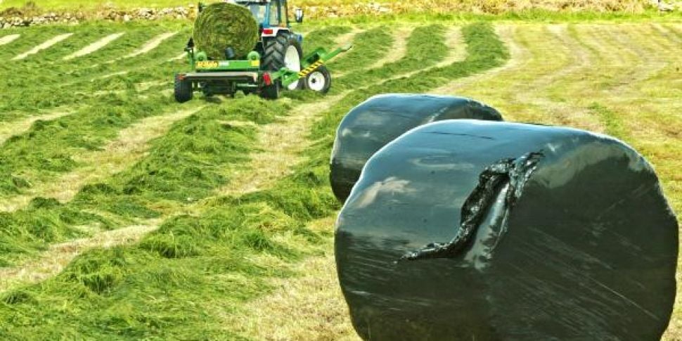 Farming: Its silage time