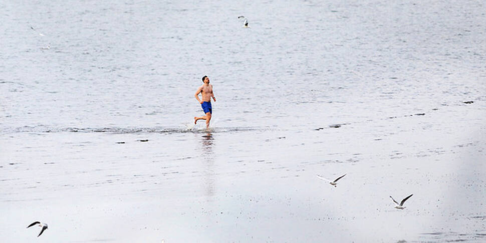 Early Morning Swimmers