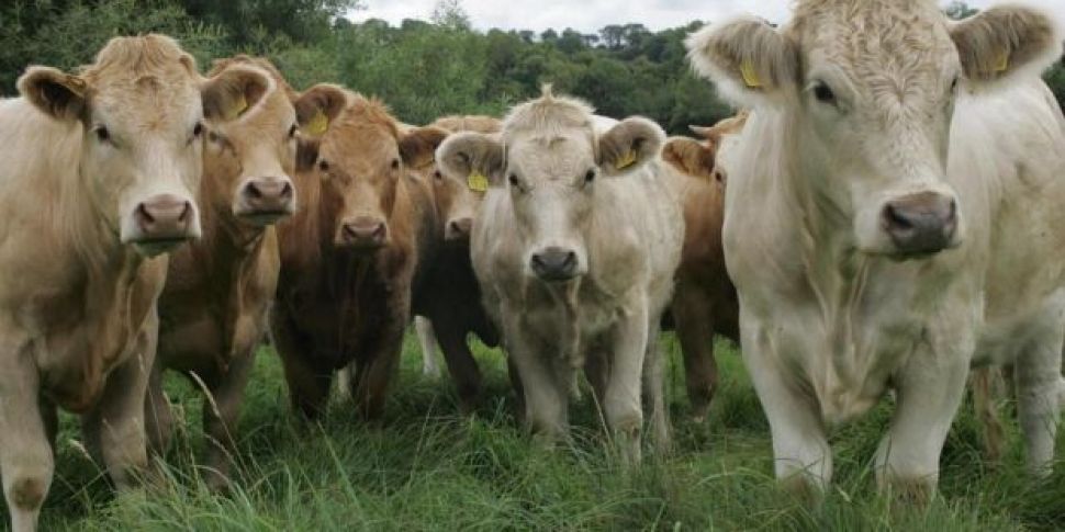 Farming: Its lashing but there...