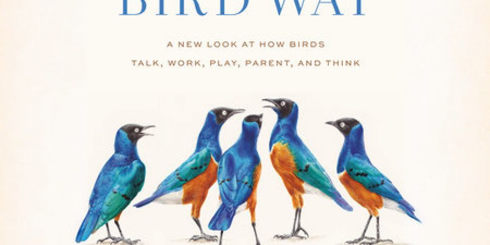 the bird way book