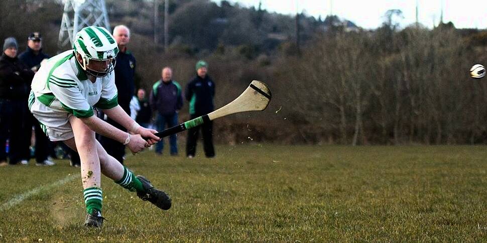 Are bamboo hurleys the future?